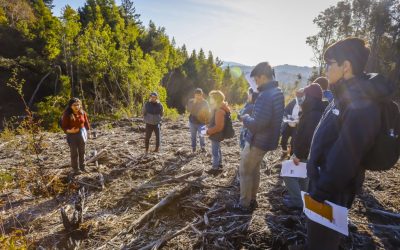Del Bosque al Aula: Lep UdeC desarrollará proyecto de Vinculación con el Medio dirigido a profesores de ciencias