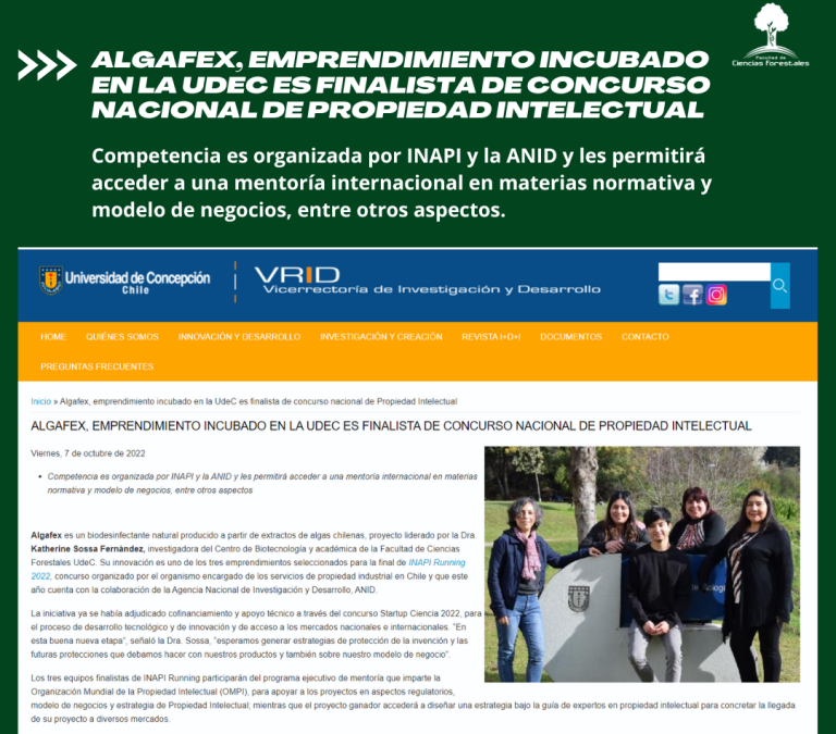 Algafex, emprendimiento incubado en la UdeC es finalista de concurso nacional de Propiedad Intelectual