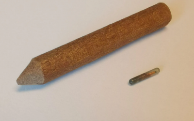 El invento chileno que busca poner término al robo de madera