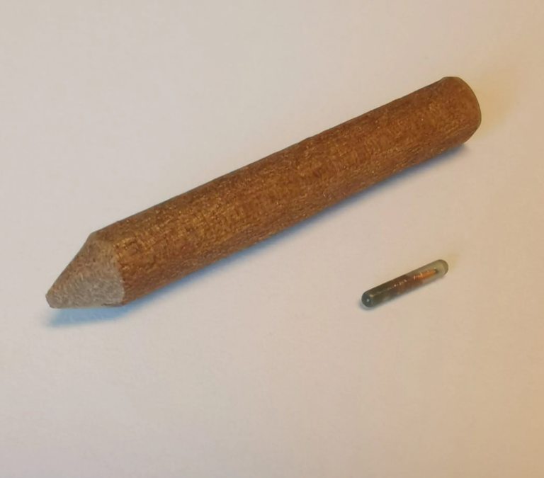 El invento chileno que busca poner término al robo de madera