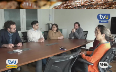 TVU – Desafíos Públicos,  investigadores UdeC combatirán plaga de termitas en Nacimiento