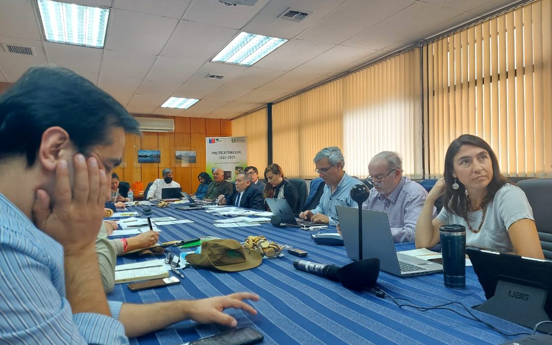 En Sesión del Consejo de Política Forestal, se analizó la reactivación del Proyecto de Ley que crea el Servicio Nacional Forestal (SERNAFOR)