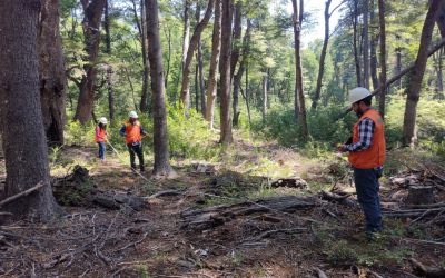 OFERTA DE EMPLEO: Se busca asistente de curso de Campo para Ranchillo