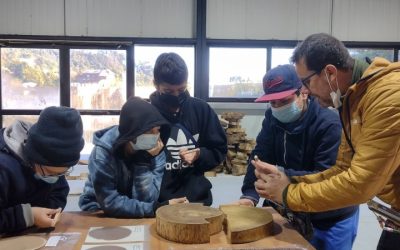 Proyecto Paleta Biomaterial de Coliumo