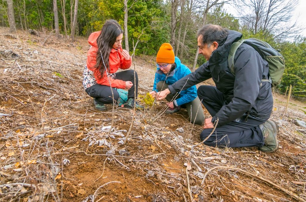 Inédito estudio evaluará trayectoria de restauración ecológica