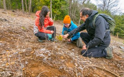 Inédito estudio evaluará trayectoria de restauración ecológica