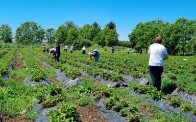 Estudiantes de Biotecnología Vegetal visitan Organic Fruits Chile