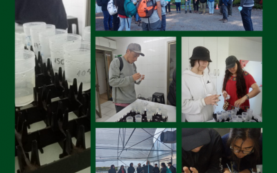 Estudiantes de Ingeniería Forestal visitan INFOR Sede Bio Bío