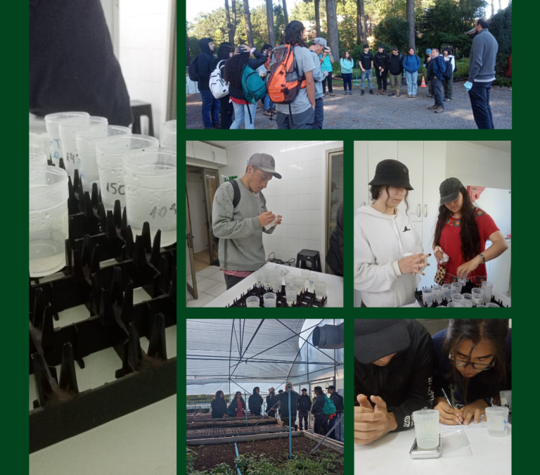 Estudiantes de Ingeniería Forestal visitan  INFOR Sede Bio Bío