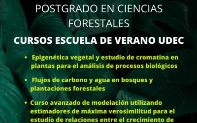 Próximos curso de la Escuela de Verano del Postgrado en Ciencia Forestales UdeC