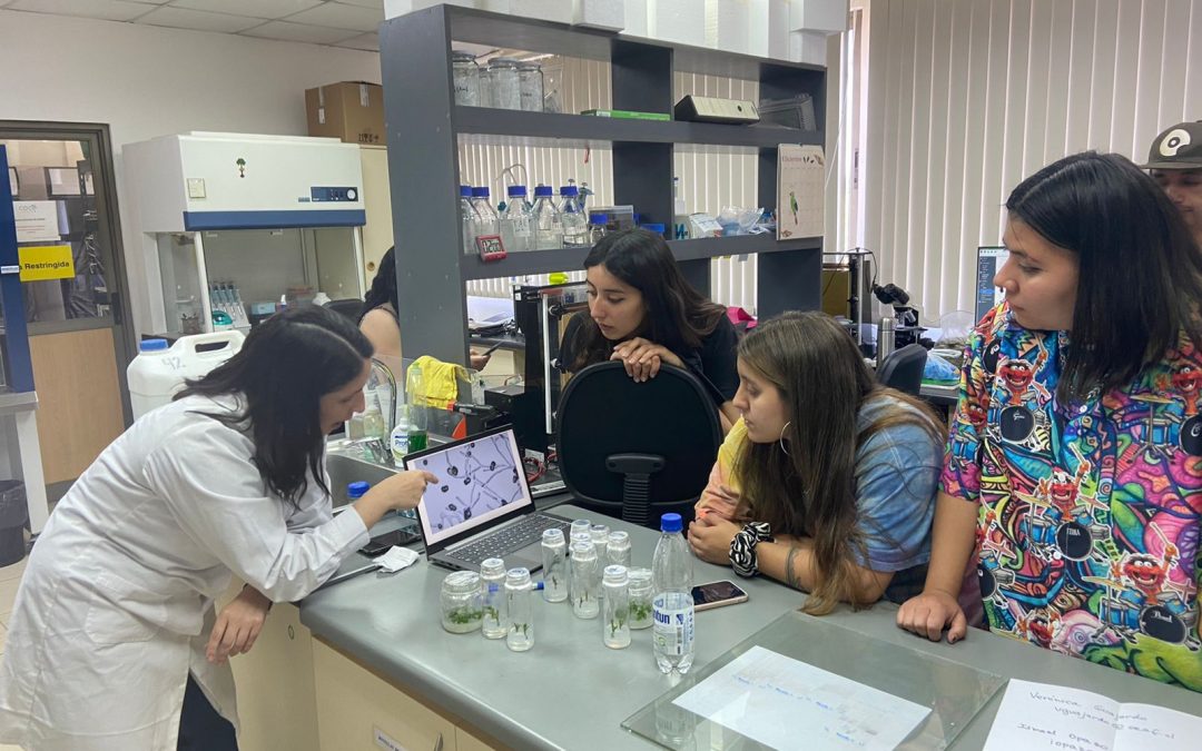 Gira de Ing. en Biotecnología Vegetal: Nos volvemos a encontrar