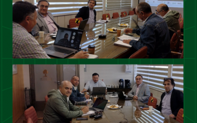 Reunión de Directorio del Modelo Nacional de Simulación