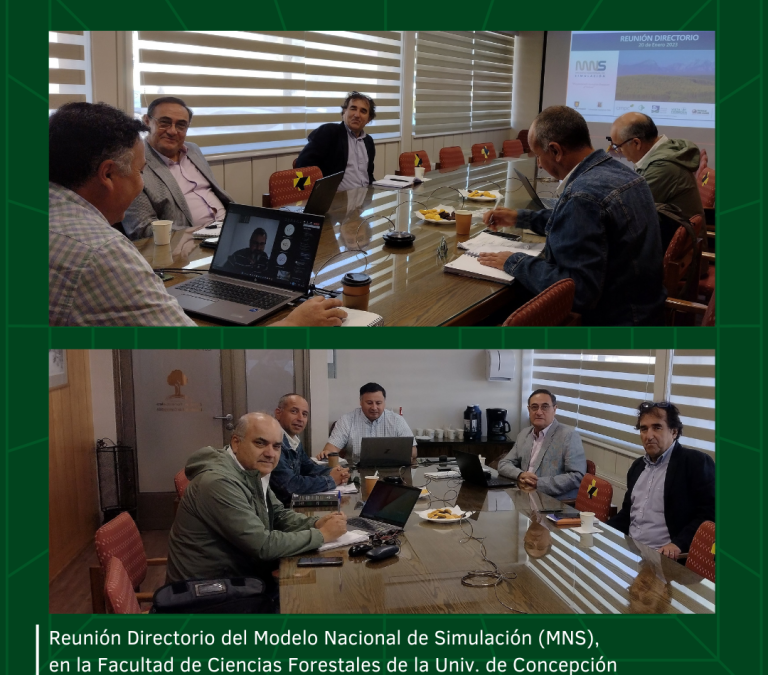 Reunión de Directorio del Modelo Nacional de Simulación