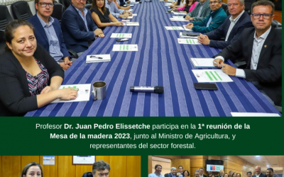 UdeC participa en la Reactivación de la “Mesa de la Madera”