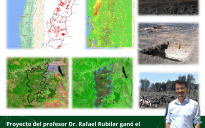 Proyecto del profesor Dr. Rafael Rubilar ganó el Concurso de Fomento a la Vinculación Internacional para Instituciones de Investigación – Convocatoria 2022