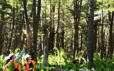 Practico IV de Ing. Forestal en Ranchillo Alto – Yungay
