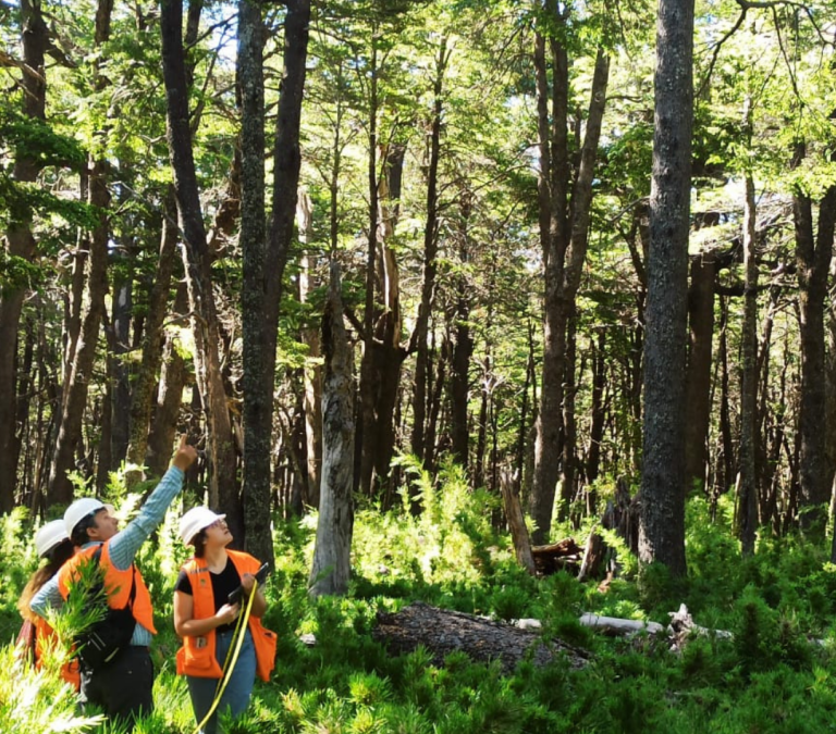 Practico IV de Ing. Forestal en Ranchillo Alto – Yungay
