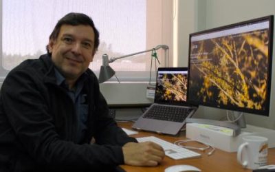 “Instituto de Ecología y Biodiversidad evalúa su primer año de dirección desde Concepción”