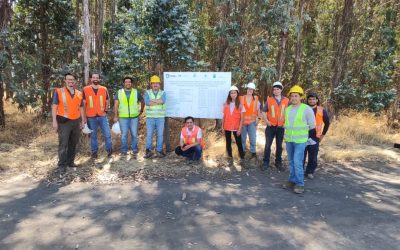 Jornadas de campo del curso: “Flujos de carbono y agua en bosques y plantaciones forestales”
