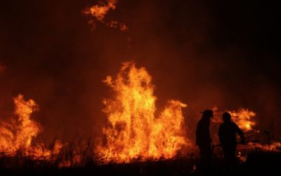 Evalúan riesgo de incendios forestales en la Provincia de Concepción