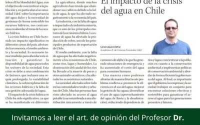 El impacto de la crisis de agua en Chile