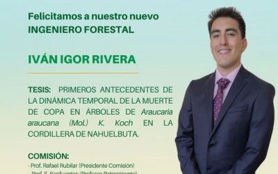 Iván Igor Rivera es nuestro nuevo Ingeniero Forestal