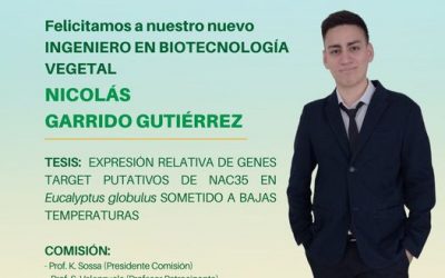 Nicolás Garrido Gutiérrez es nuestro nuevo Ingeniero en Biotecnología Vegetal
