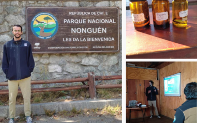 Charla del Ing. en Biotecnología Vegetal UdeC, Nicolás Rivas M. en el Parque Nonguén sobre los beneficios de los baños de bosque