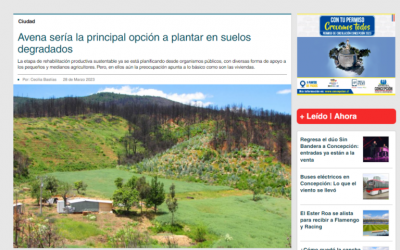 Entrevista en Diario Concepción sobre recuperación de suelos, post incendios en la Región