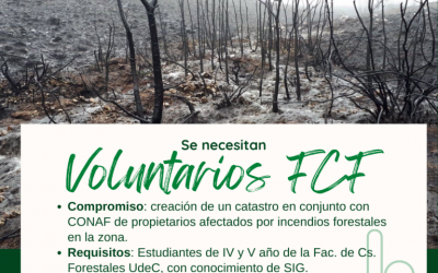 Se necesitan voluntarios de C.s Forestales para comunas afectadas en Bio Bío
