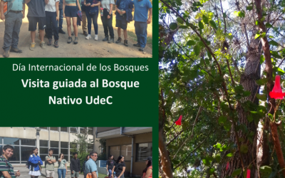 Visita guiada al bosque nativo UdeC