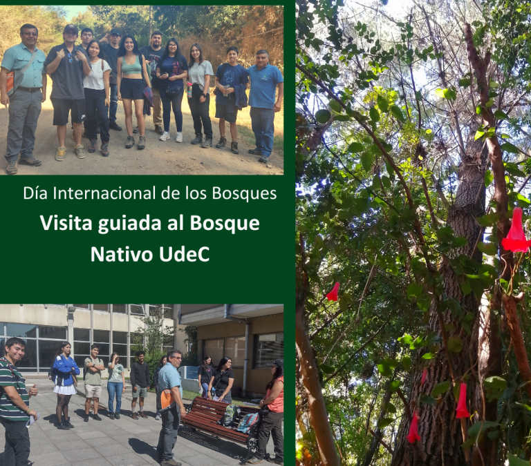 Visita guiada al bosque nativo UdeC