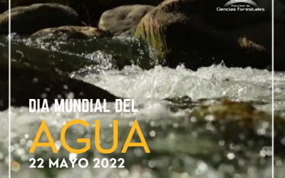 Día Mundial del Agua