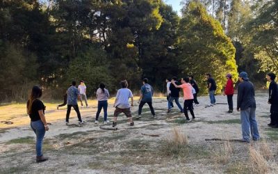 Estudiantes de Forestal apadrinan a compañeros de primer año