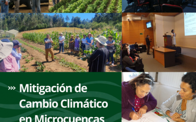 Proyecto FIC Mitigación de Cambio Climático en Microcuencas  (40036106-0)