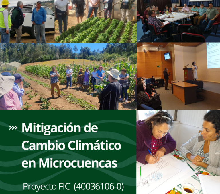 Proyecto FIC Mitigación de Cambio Climático en Microcuencas  (40036106-0)