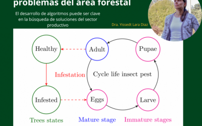 Aplican matemática a  problemas del área forestal