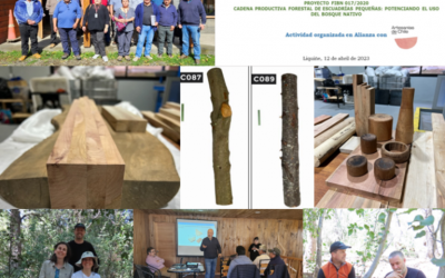 “Rescatando valor de los bosques naturales a través de la cultura de las artesanías”