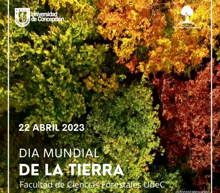 Dia Mundial de la Tierra