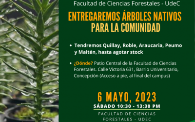 6 de mayo: entregaremos plantas de árboles nativos a la comunidad