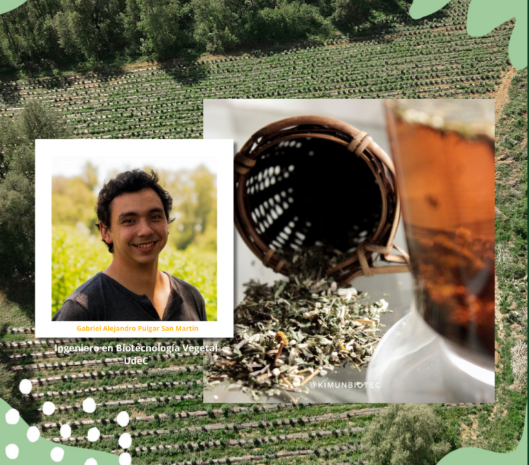 Kimun Biotec: Conocimiento ancestral, aplicado a la ciencia de hoy