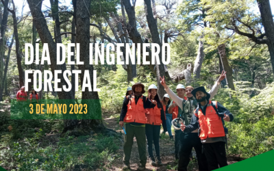 Árboles, los grandes pilares de la Naturaleza