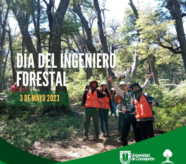 Árboles, los grandes pilares de la Naturaleza