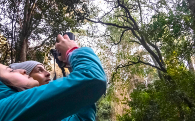 La naturaleza y el vínculo con la comunidad: comienzan visitas guiadas a inédito proyecto de conservación en Chile.