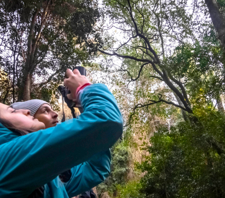 La naturaleza y el vínculo con la comunidad: comienzan visitas guiadas a inédito proyecto de conservación en Chile. 