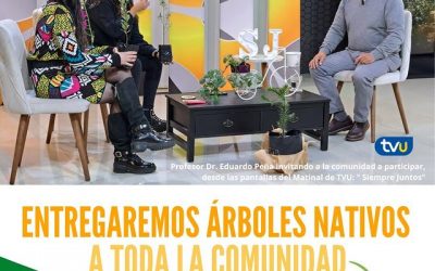 Entrega de árboles nativos en TVU