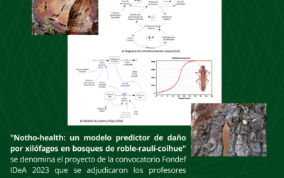 Fondef IDeA : “Notho-health: un modelo predictor de daño por xilófagos en bosques de roble-raulí-coihue”