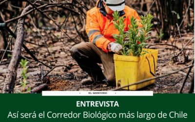 El Mercurio, entrevista al Dr. Juan Pedro Elissetche sobre corredor biológico