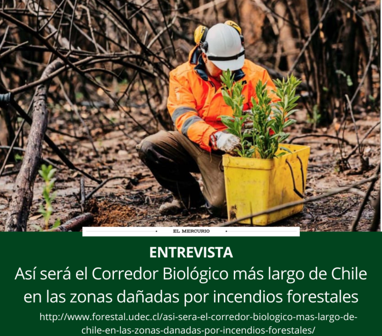 El Mercurio, entrevista al Dr. Juan Pedro Elissetche sobre corredor biológico
