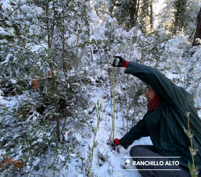Actividades de muestreo en el Fundo Ranchillo Alto